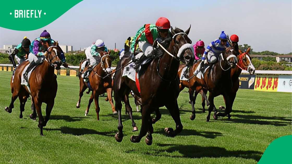 Ebony Flyer, England, Team Valor International. Ebony Flyer, England, Team Valor International.