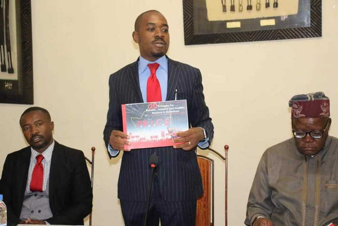 nelson chamisa education nelson chamisa education