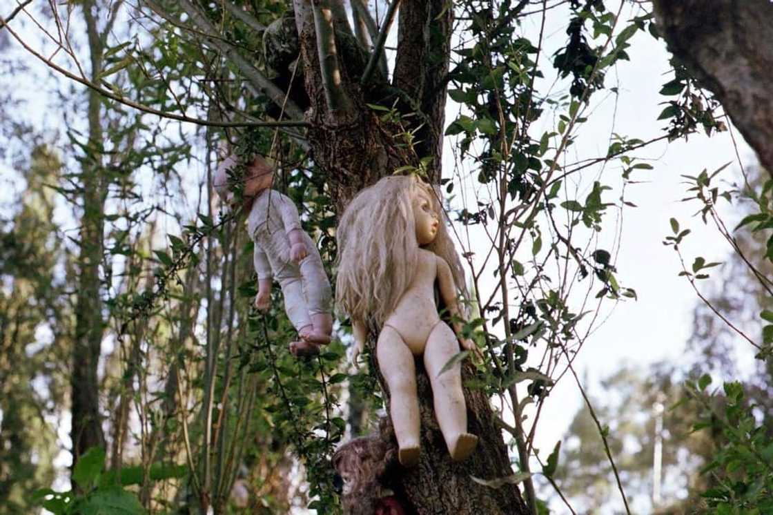 Isla de las Munecas Isla de las Munecas