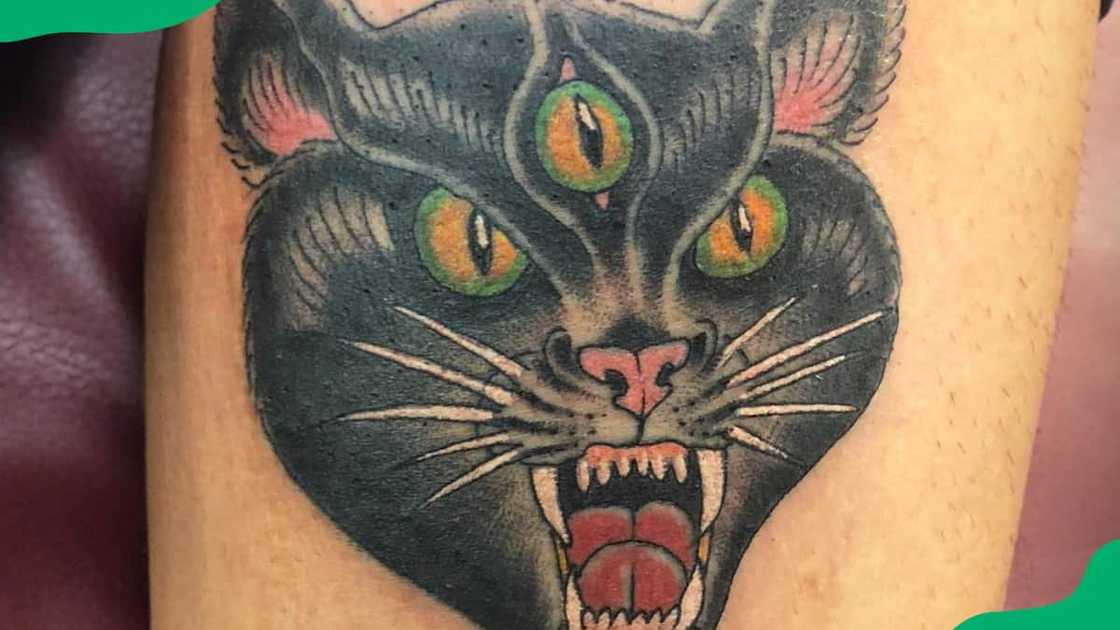 Bewitching cat eye Bewitching cat eye