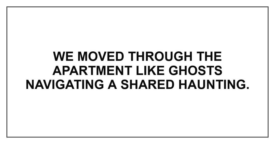 We moved through the apartment like ghosts navigating a shared haunting. We moved through the apartment like ghosts navigating a shared haunting.