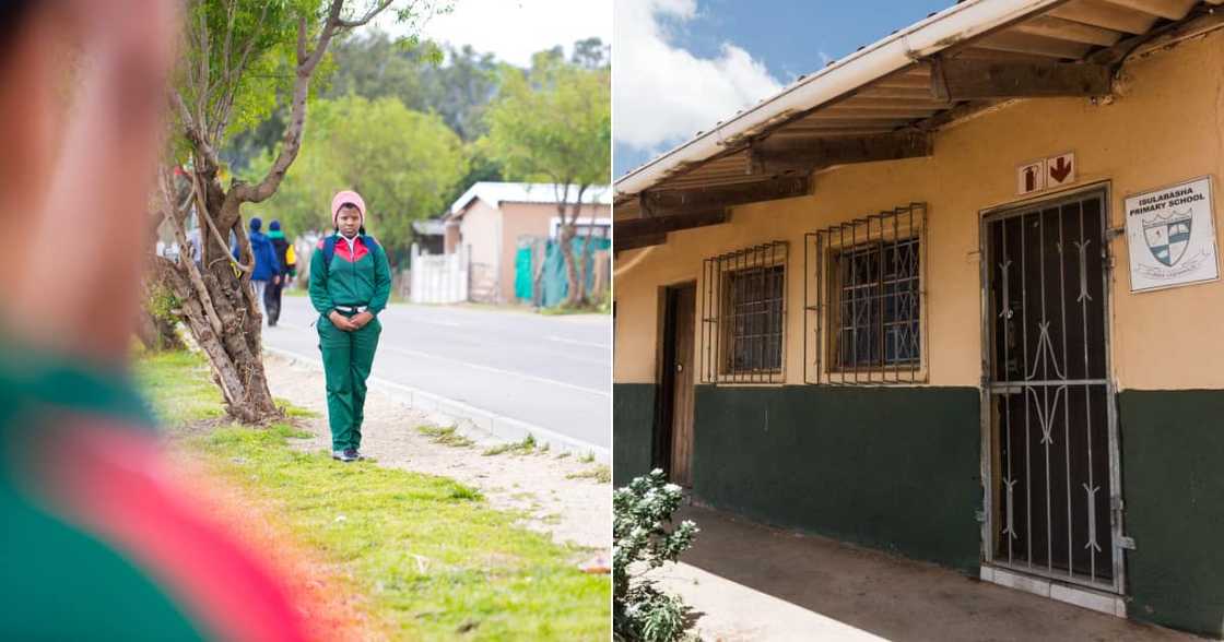 School, Stabbing, Learner, Kgapane, Limpopo, Incident, Boys, Brawl, Parents, Children, Limpopo Department of Education, Spokesperson School, Stabbing, Learner, Kgapane, Limpopo, Incident, Boys, Brawl, Parents, Children, Limpopo Department of Education, Spokesperson