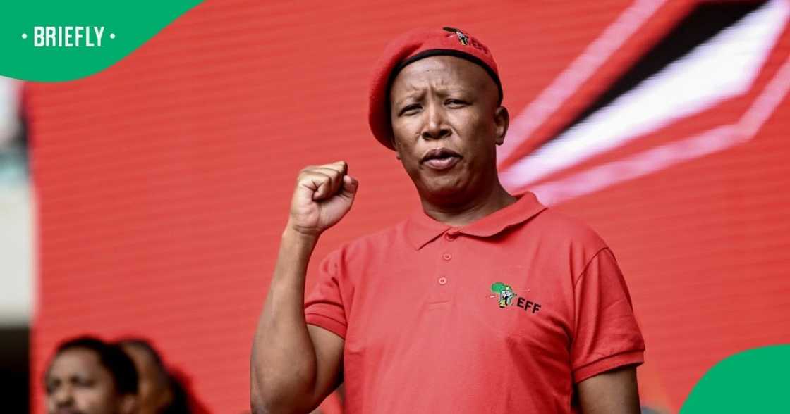 EFF leader Julius Malema said party would continue fighting for the insourcing of municipal workers. EFF leader Julius Malema said party would continue fighting for the insourcing of municipal workers.