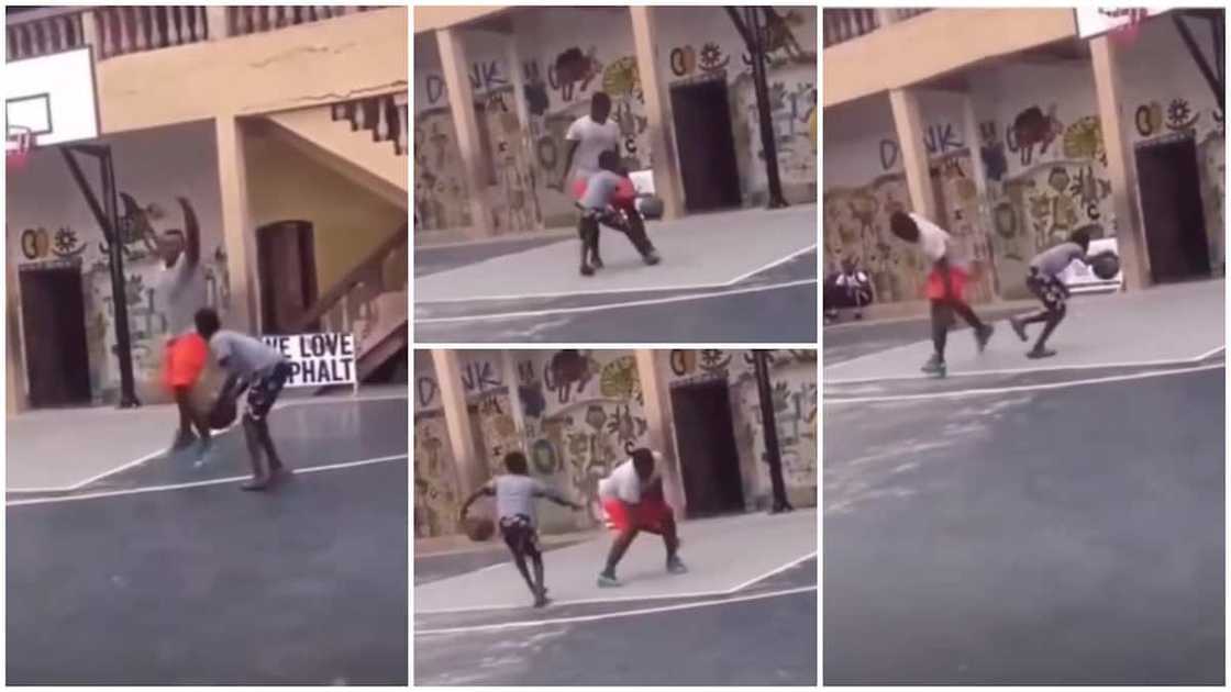 Ball, basketball, boy, man, game, fun, viral Ball, basketball, boy, man, game, fun, viral