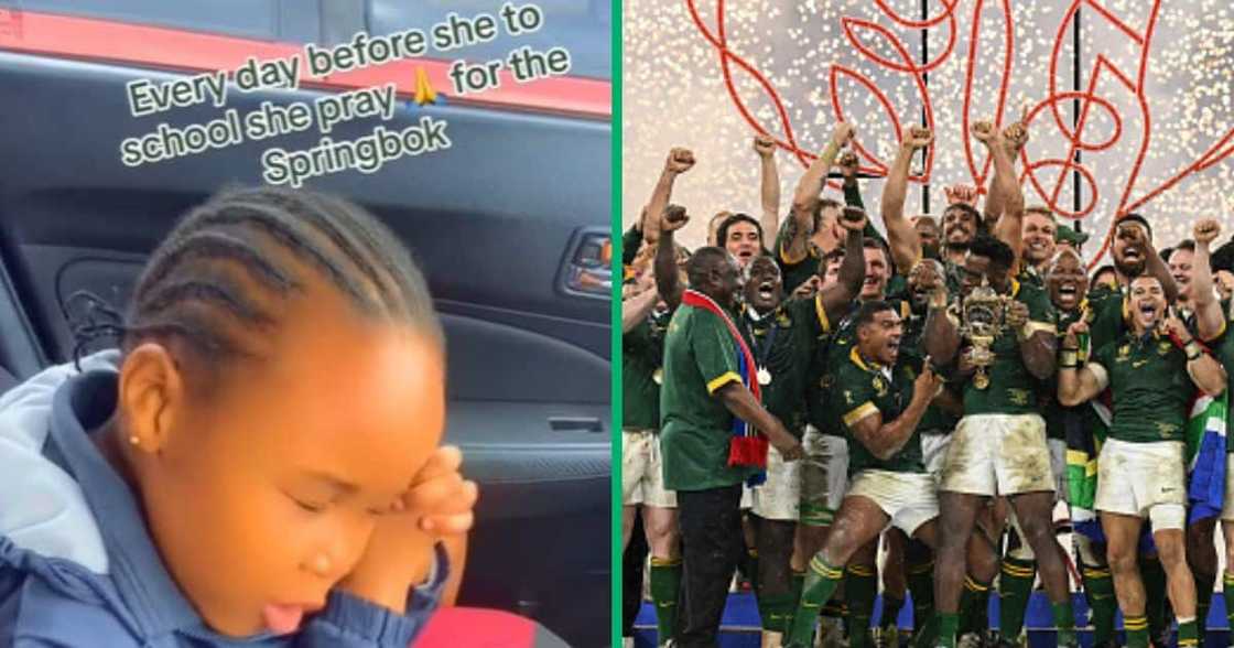 TikTok video shows kid praying for Springboks to win RWC 2023 TikTok video shows kid praying for Springboks to win RWC 2023