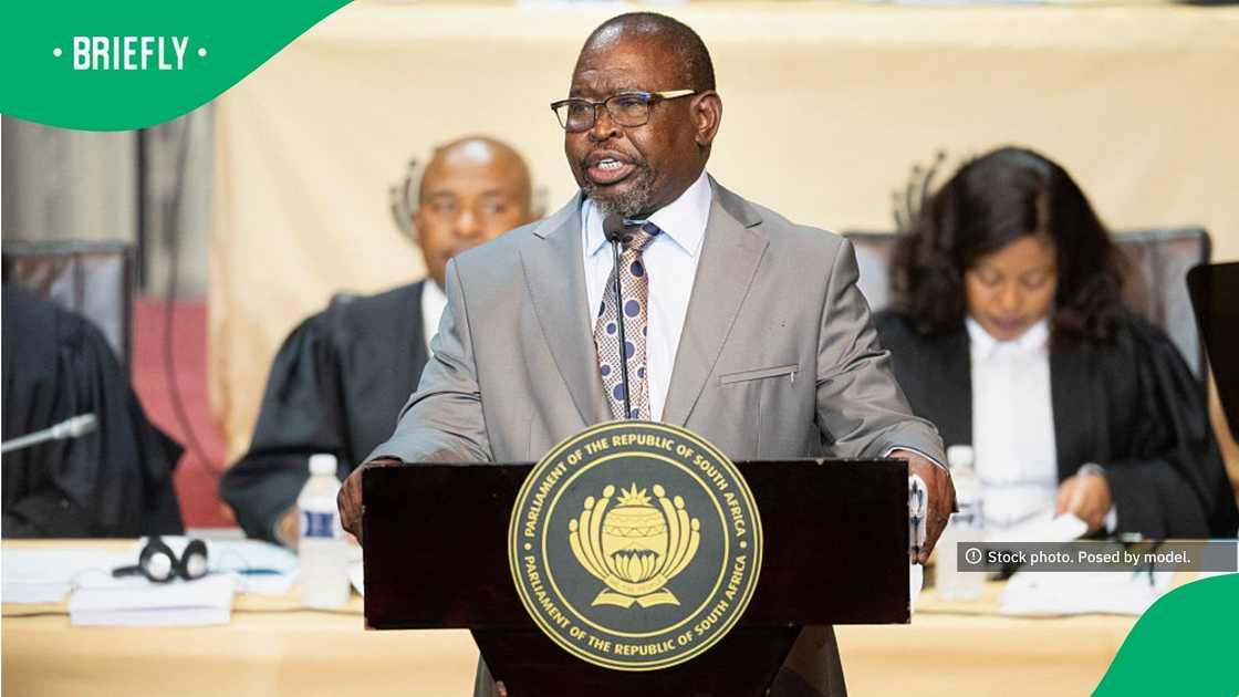 The minister in Parliament The minister in Parliament