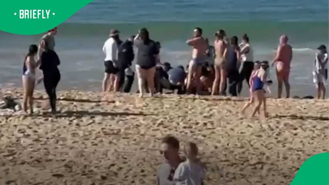 The scene photograph captured the chaotic aftermath on the sand as bystanders rushed to help the injured victim near the water The scene photograph captured the chaotic aftermath on the sand as bystanders rushed to help the injured victim near the water