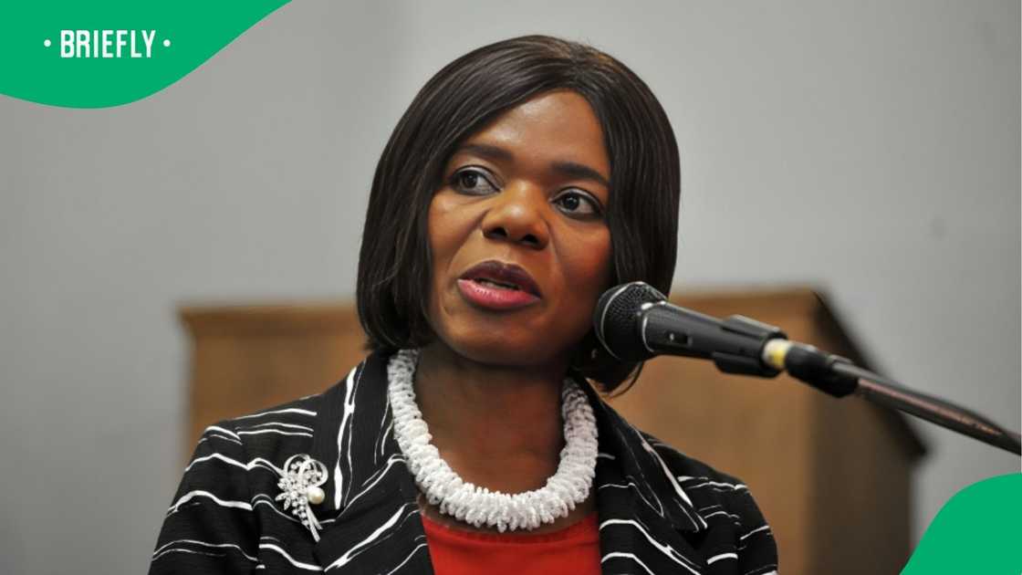 Former public protector Thuli Madonsela shares two cents on publicising Limpopo farm murder accused