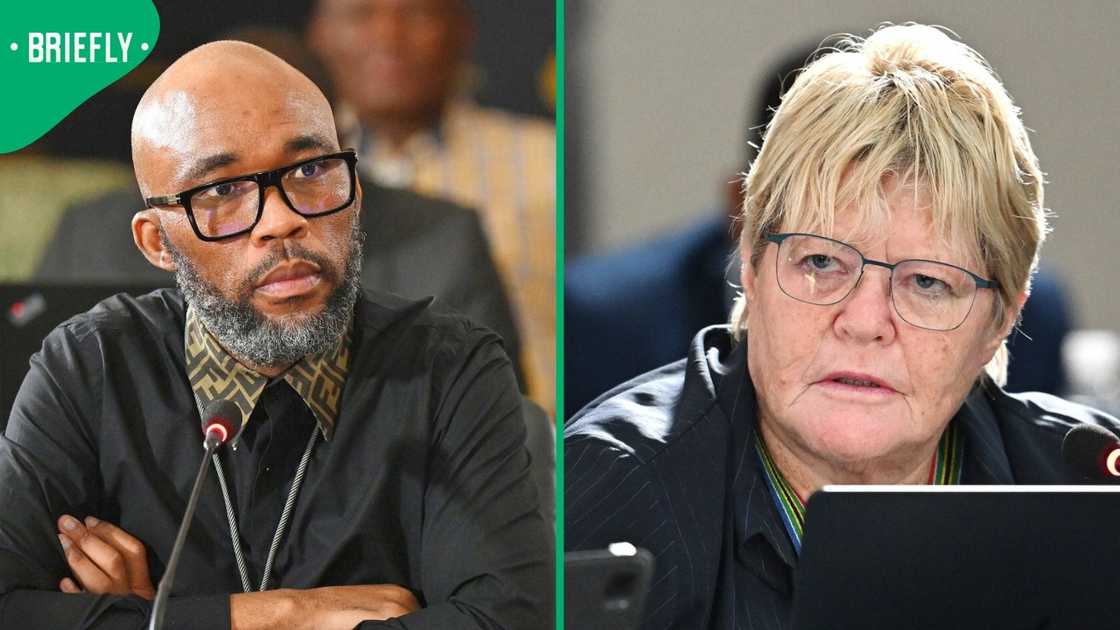 Glynnis Breytenbach discussed Vusimuzi Matlala’s testimony before Parliament