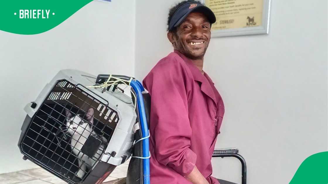 The Animal Welfare Society is appealing for a new wheelchair for a local hero The Animal Welfare Society is appealing for a new wheelchair for a local hero