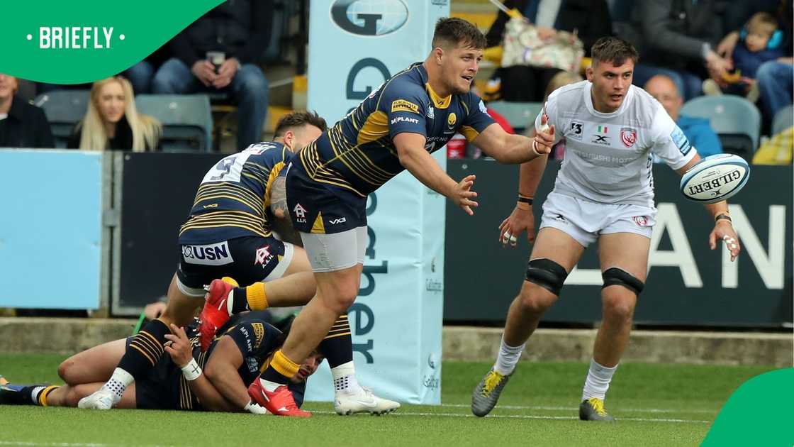 Nick Schonert, Germany, Sharks, Cheetahs, Griquas Nick Schonert, Germany, Sharks, Cheetahs, Griquas