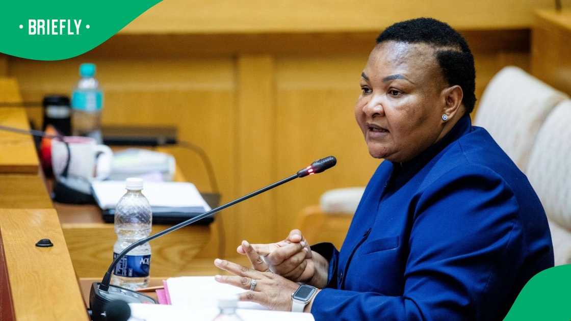 Deputy Police Minister Polly Boshielo testified at the Ad Hoc Committee in Parliament Deputy Police Minister Polly Boshielo testified at the Ad Hoc Committee in Parliament