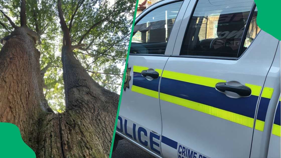 Police launch inquest after Limpopo man wanted for wife's murder found dead Police launch inquest after Limpopo man wanted for wife's murder found dead