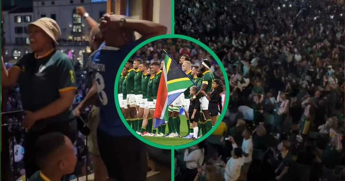 TikTok video shows gwijo for Springboks' TikTok video shows gwijo for Springboks'
