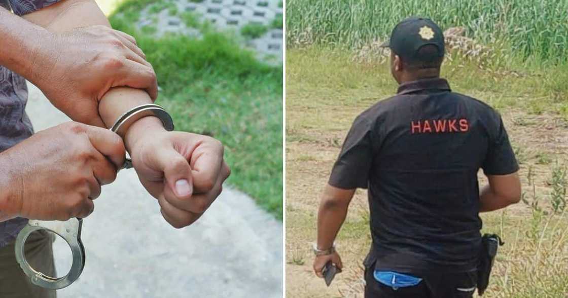 Hawks arrest Eskom employee Hawks arrest Eskom employee