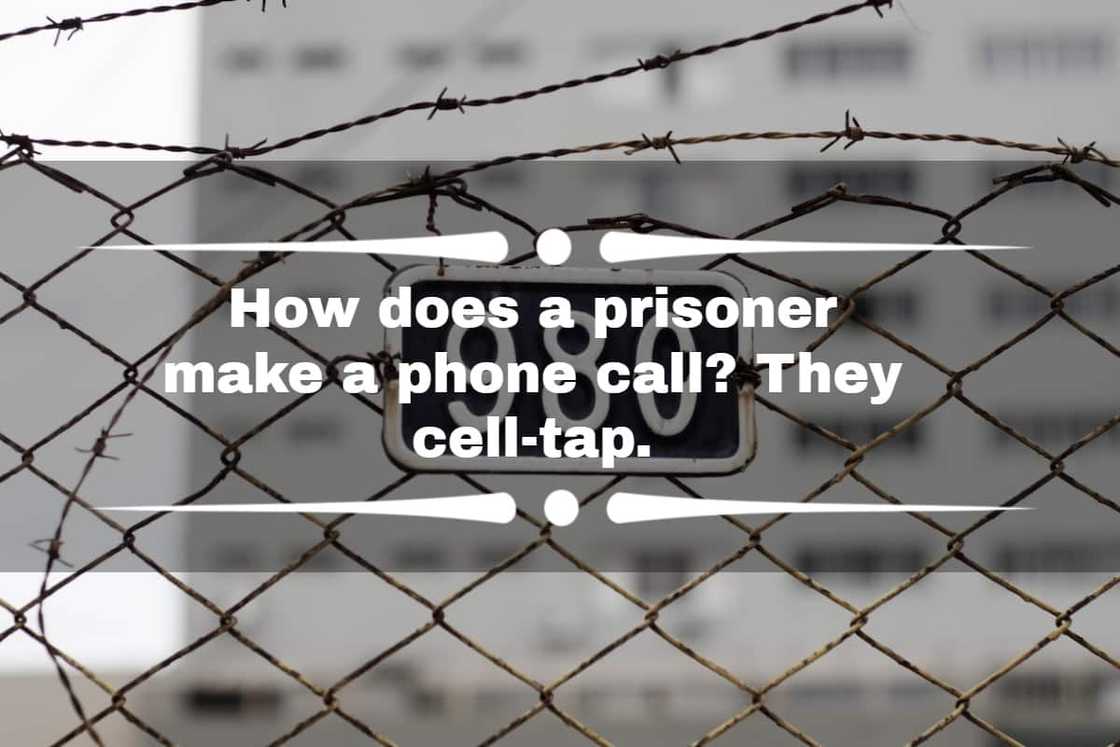 funny jail jokes