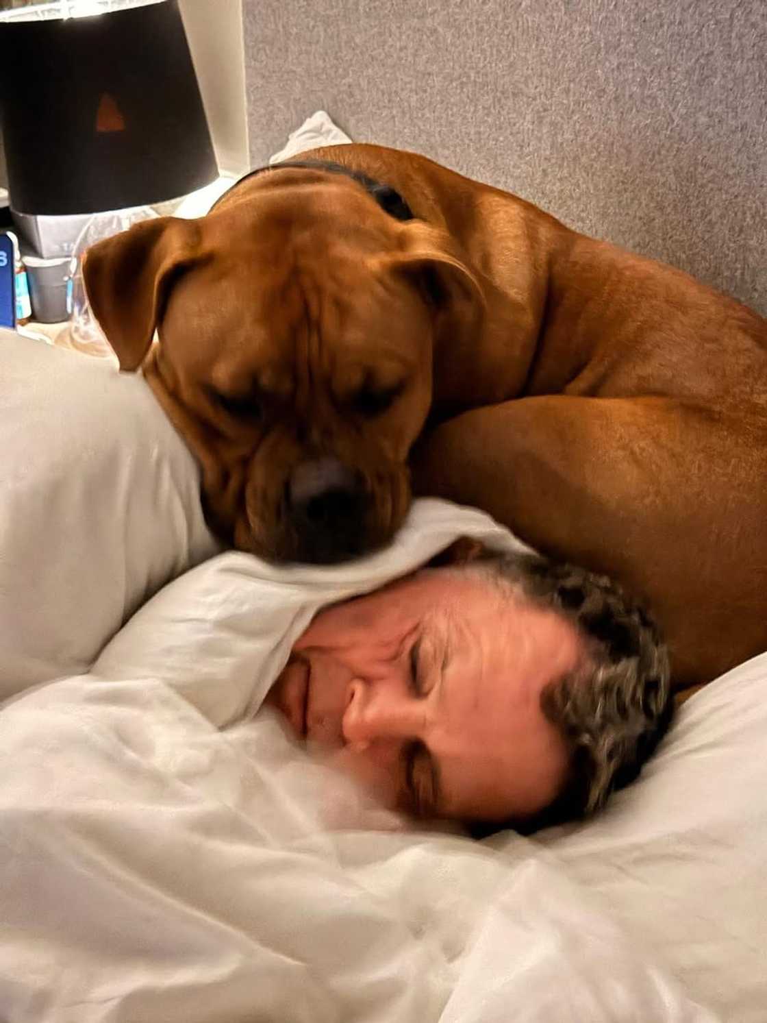 Rassie Erasmus and his beloved dog Kwedini Rassie Erasmus and his beloved dog Kwedini