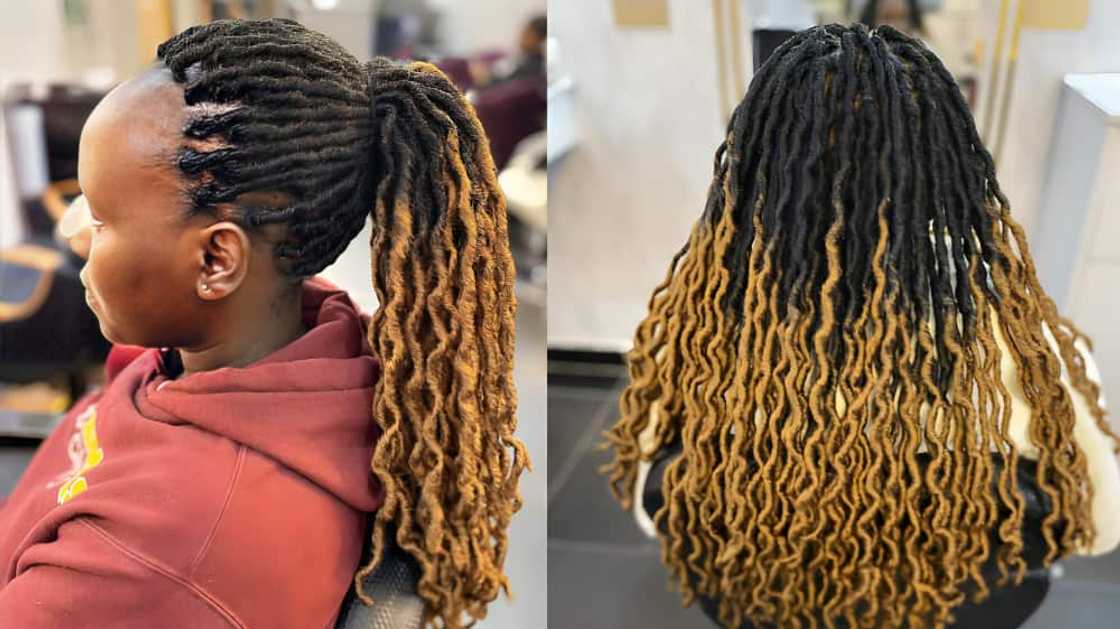 Black locs with brown ends Black locs with brown ends