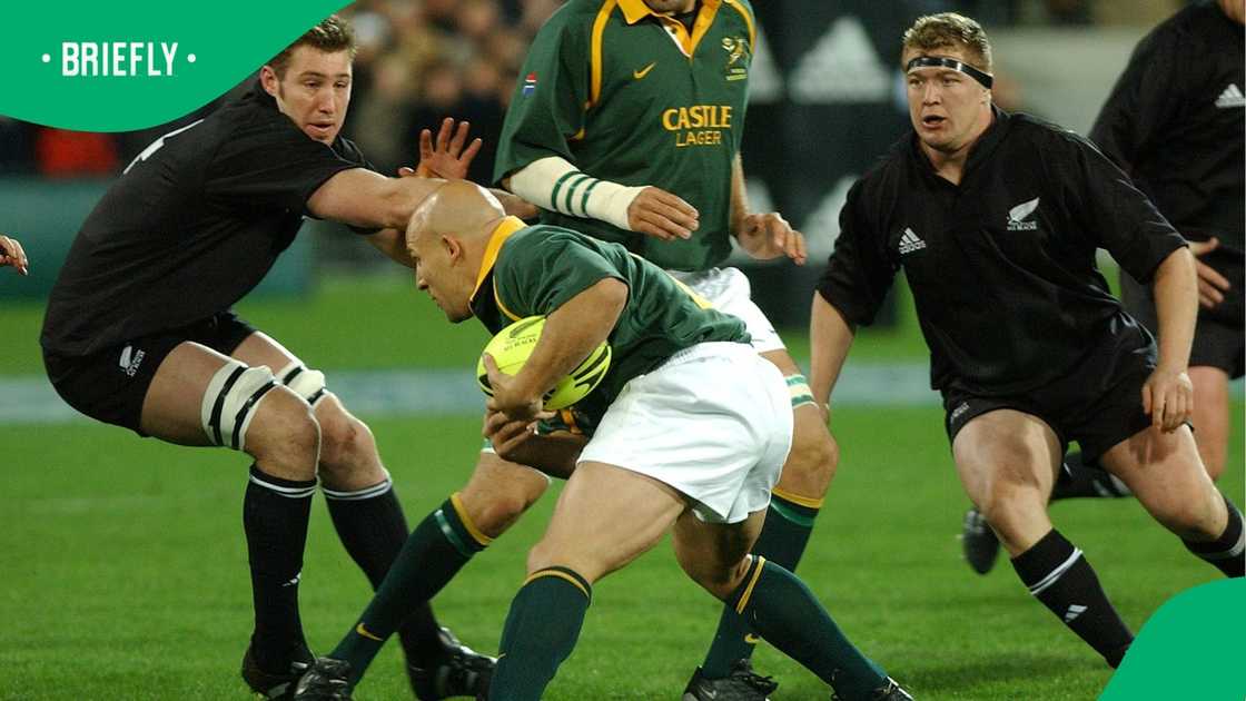Springboks, All Blacks, Rugby Championship, James Dalton, Oliie le Roux Springboks, All Blacks, Rugby Championship, James Dalton, Oliie le Roux