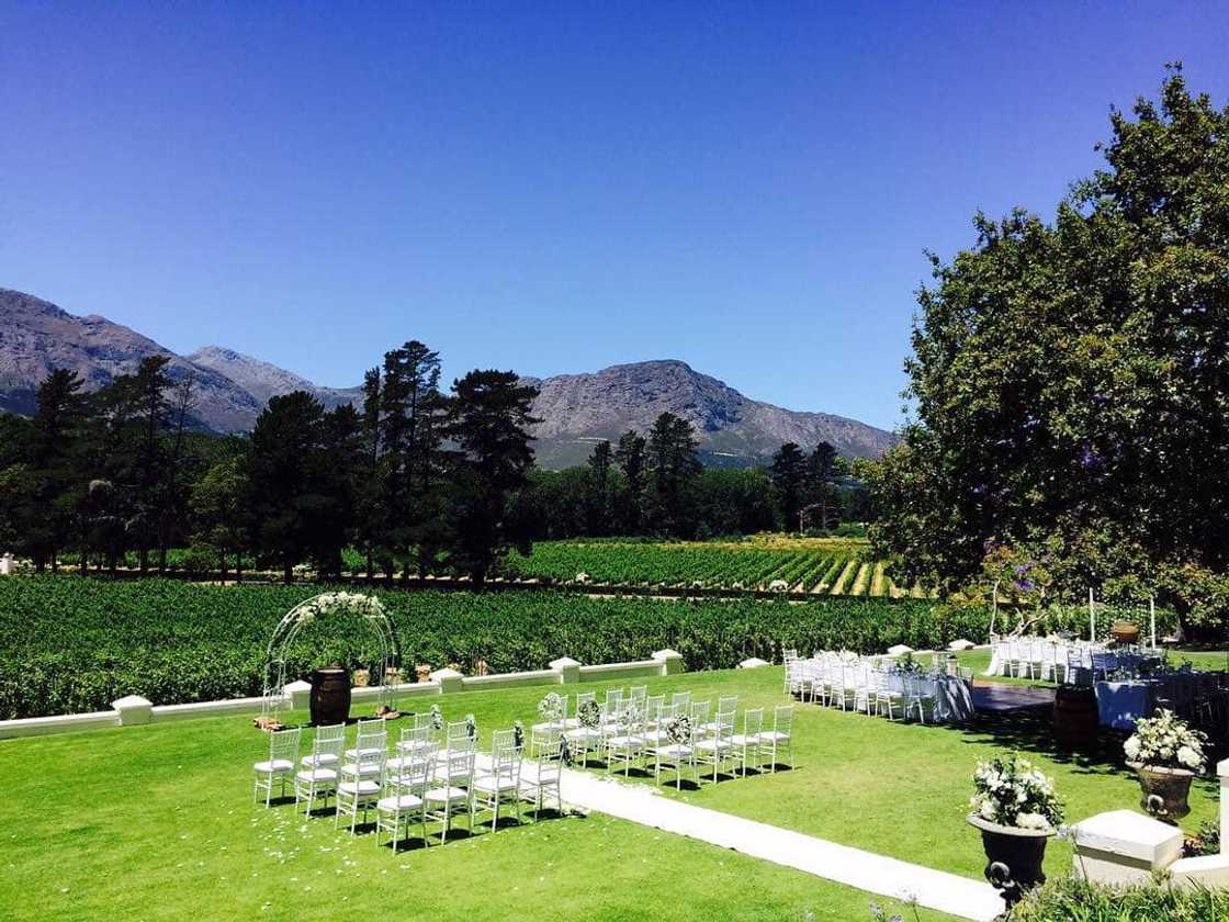 cape town wedding venues cape town wedding venues
