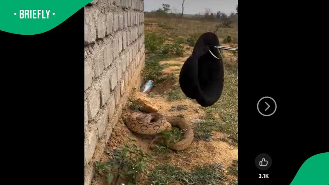 A man's post went viral. A man's post went viral.