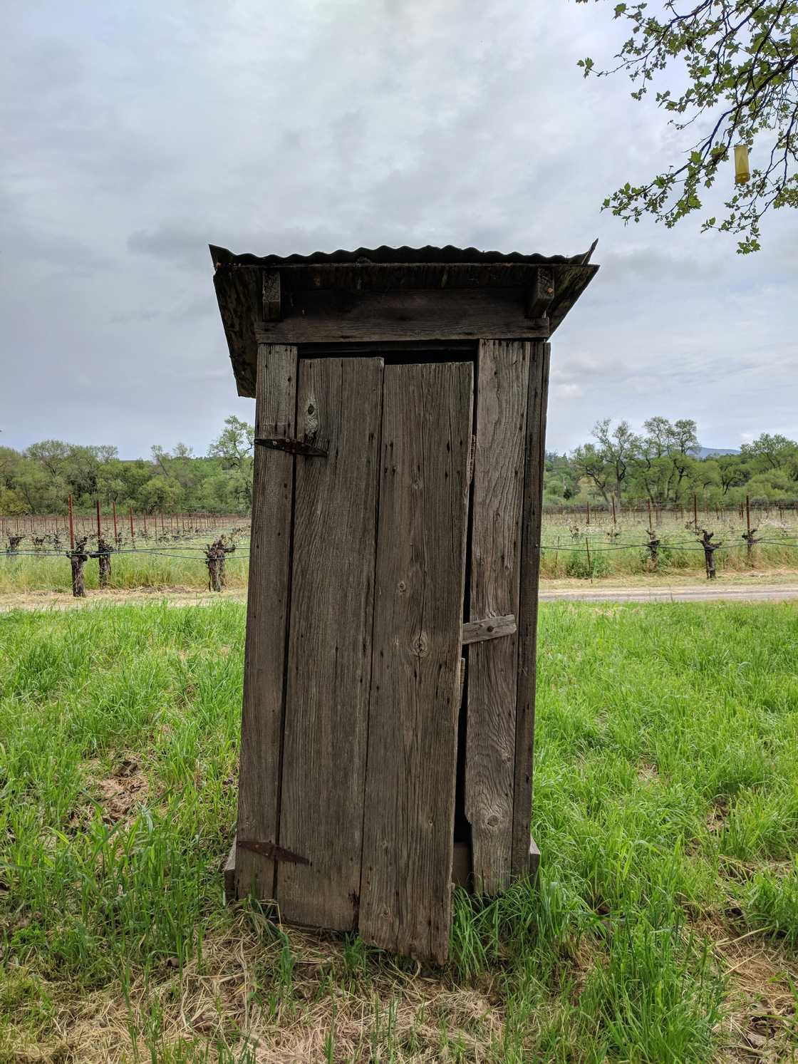People shared their experience with rural pit toilets