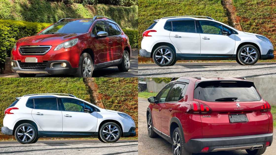 Cheapest SUVs to maintain in South Africa in 2024 Cheapest SUVs to maintain in South Africa in 2024