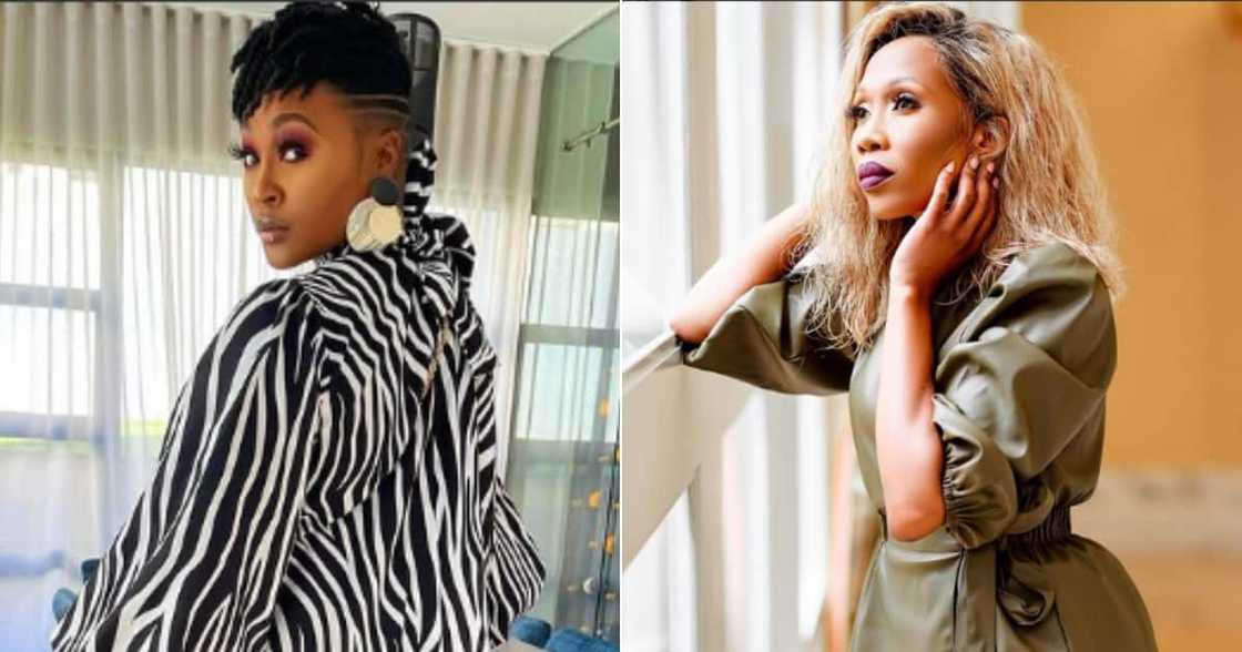 Lamiez Holworthy, Dineo Ranaka, Viral Video, Verbal Abuse, Backlash, Twitter Lamiez Holworthy, Dineo Ranaka, Viral Video, Verbal Abuse, Backlash, Twitter