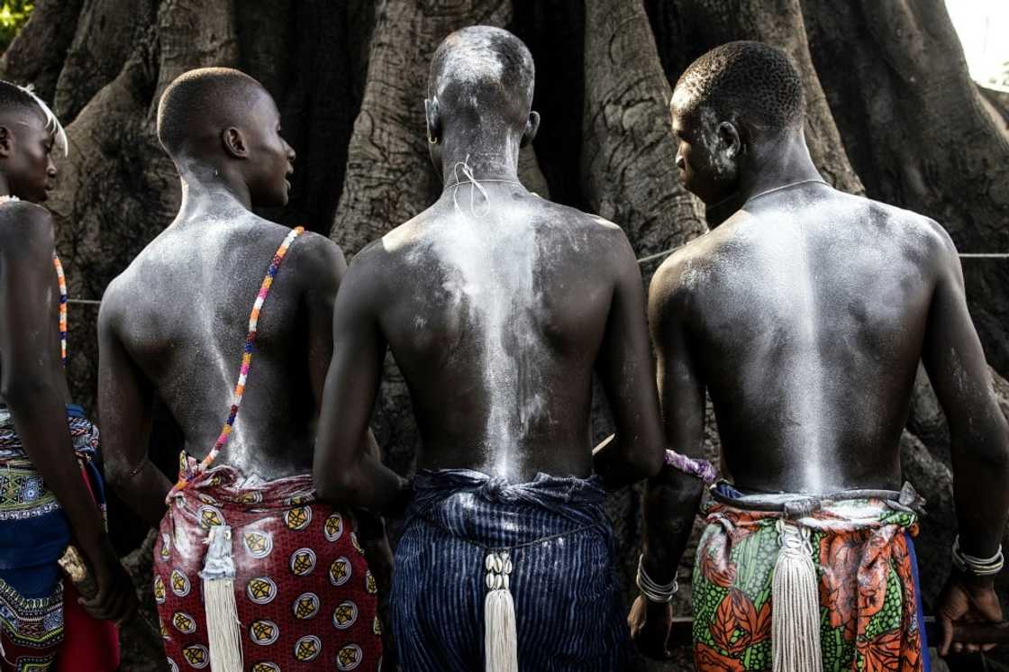 It may take a young man six or seven years to take the path from youthhood to adulthood -- elders pass on secret rites and lessons about the community It may take a young man six or seven years to take the path from youthhood to adulthood -- elders pass on secret rites and lessons about the community