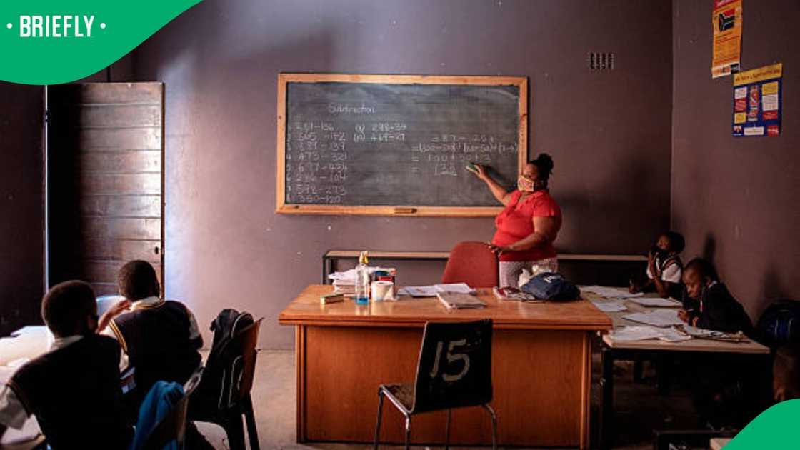 teachers