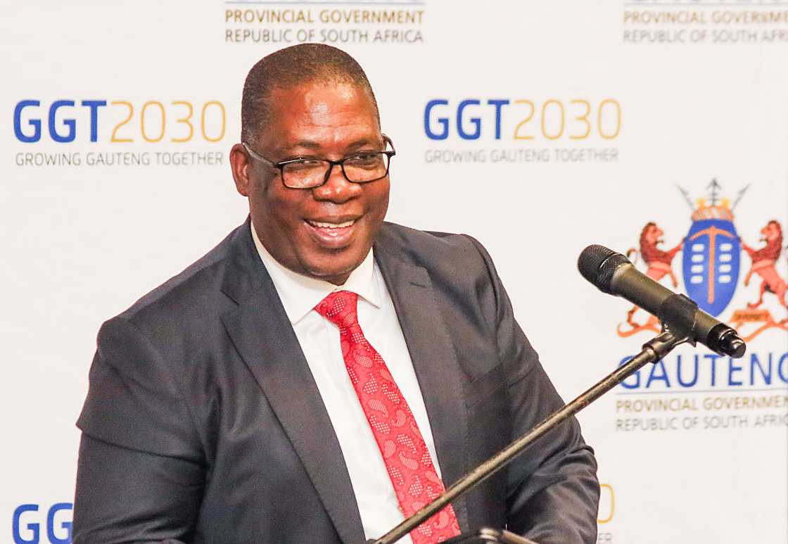 Panyaza Lesufi said the government did not handle the pressure of foreign nationals on government system