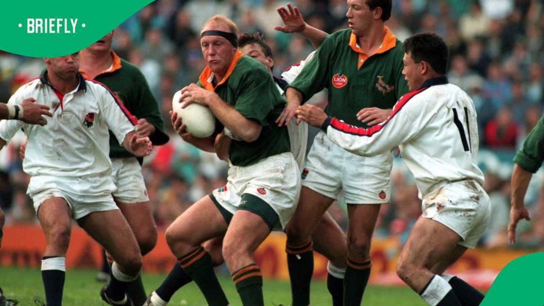 Springboks, South Africa, Adriaan Richter, Rugby World Cup 1995 Springboks, South Africa, Adriaan Richter, Rugby World Cup 1995
