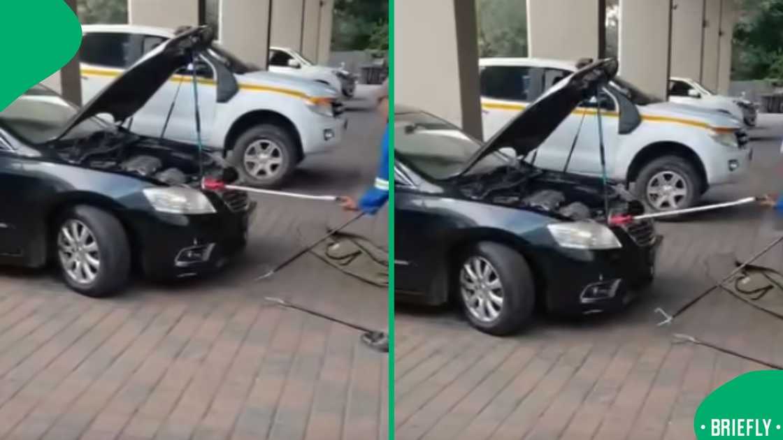 The visual showed the snake that was in the car bonnet The visual showed the snake that was in the car bonnet