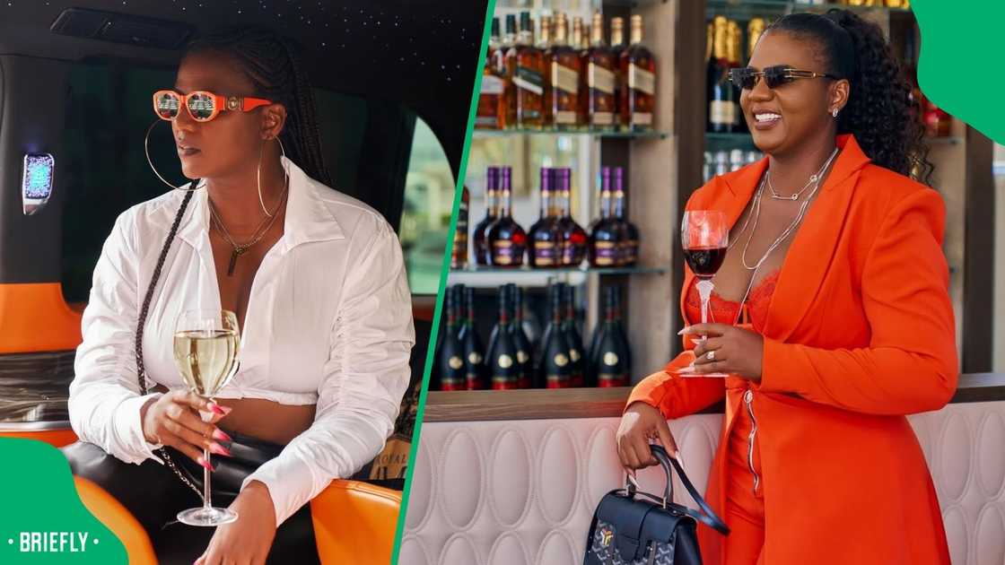 How much SARS has recovered from auctioning MaMkhize's properties