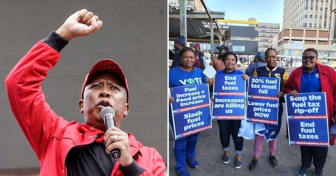 EFF, national shutdown, fuel hike, DA, protests, petrol, diesel EFF, national shutdown, fuel hike, DA, protests, petrol, diesel