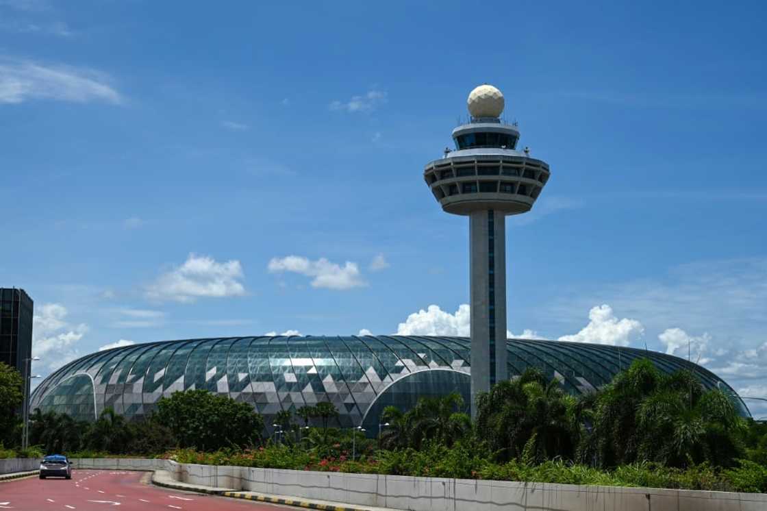 The rhino horn was found at Singapore's Changi Airport