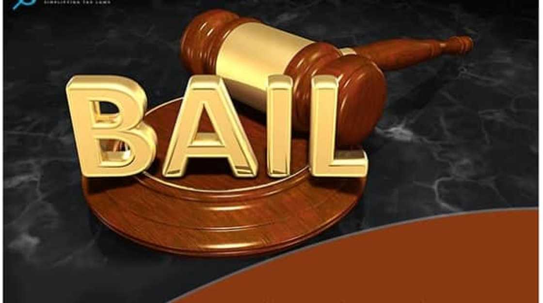 Bail application Bail application