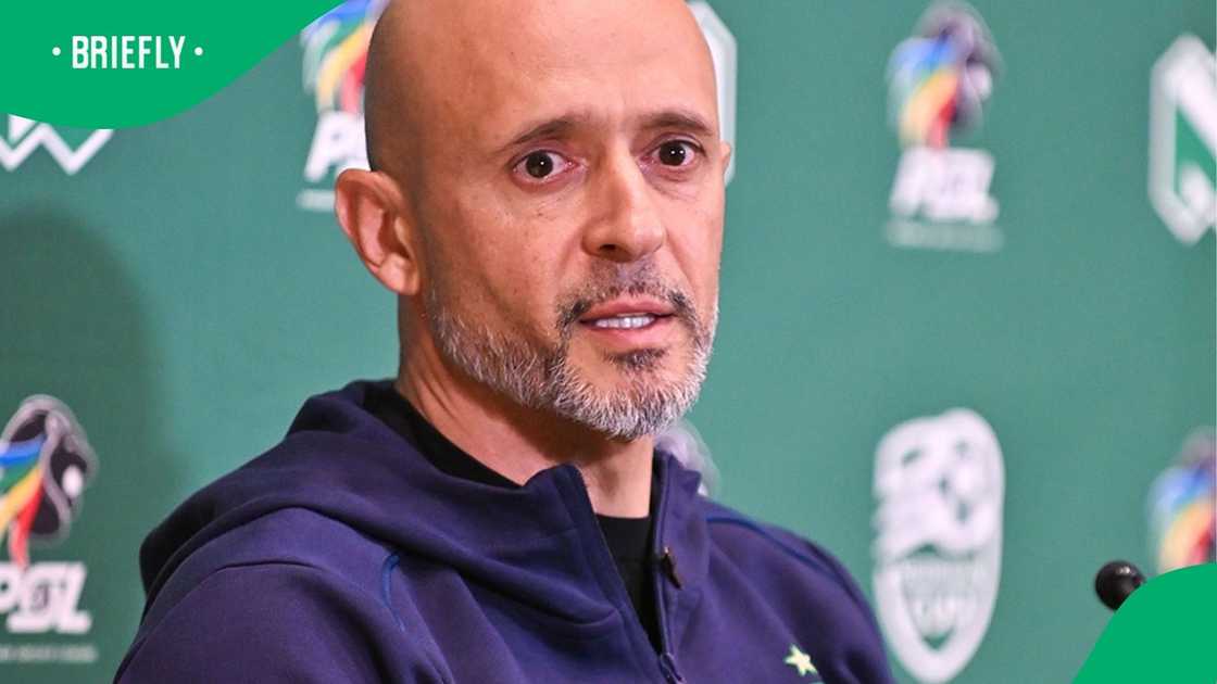 Miguel Cardoso reacts to Mamelodi Sundowns performance against Al Ahly in the CAF Champions League. Miguel Cardoso reacts to Mamelodi Sundowns performance against Al Ahly in the CAF Champions League.
