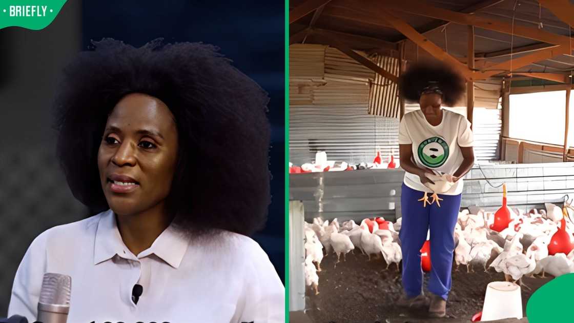 South African farmer South African farmer