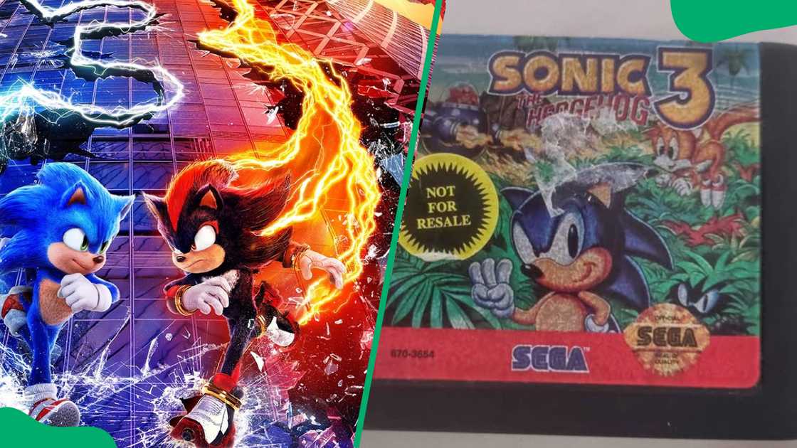 Sonic the Hedgehog 3 Sonic the Hedgehog 3