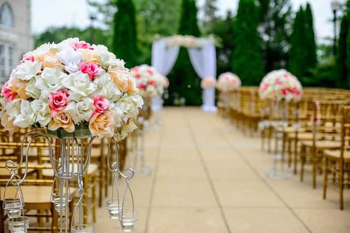 unusual wedding venues Cape Town unusual wedding venues Cape Town