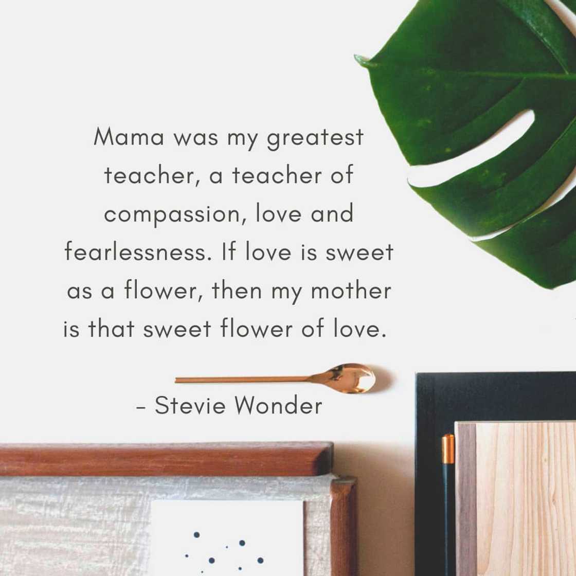 Happy mothers day quotes