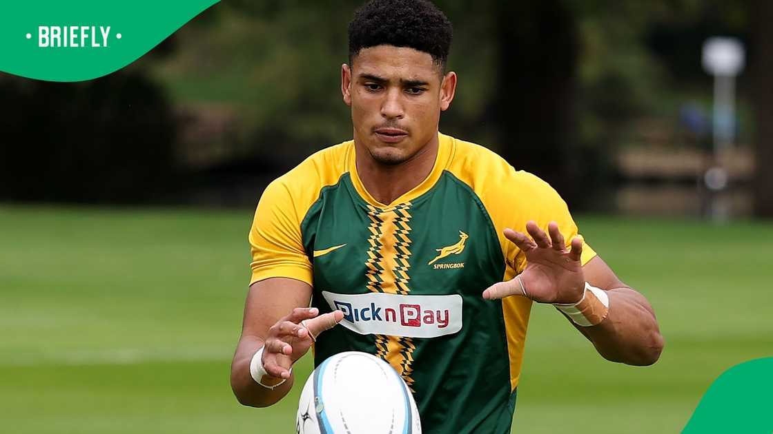 Sacha Feinberg-Mngomezulu, Springboks, Los Pumas, Rugby Championship