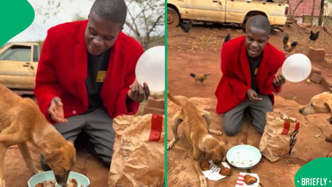 Celebrating his dog Bobby's birthday with a KFC bucket feast caused a Limpopo man to go viral