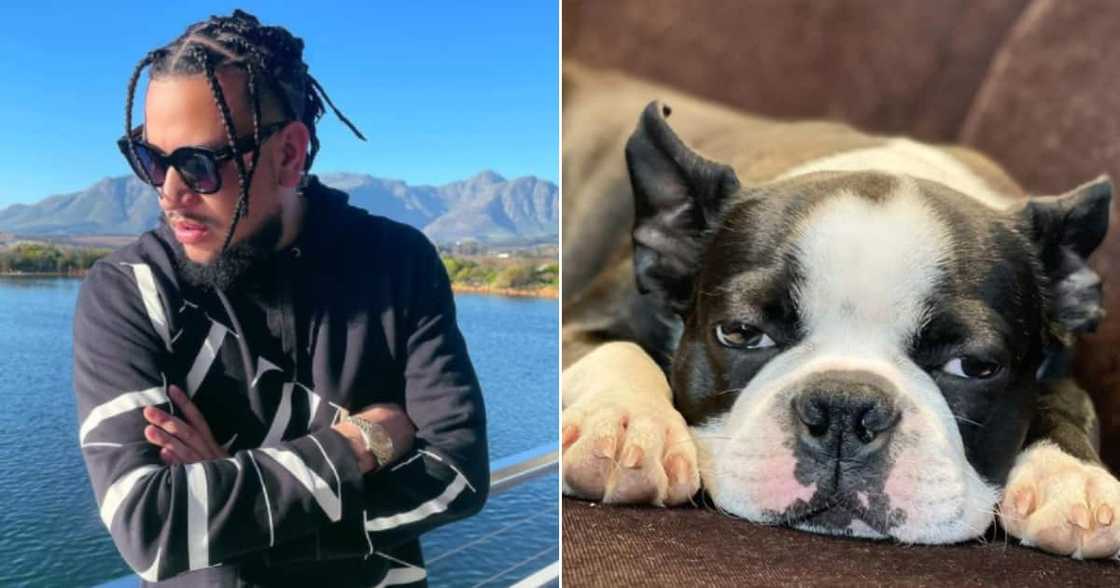 AKA, Louis Vuitton, Mr Lou. AKA, Louis Vuitton, Mr Lou.