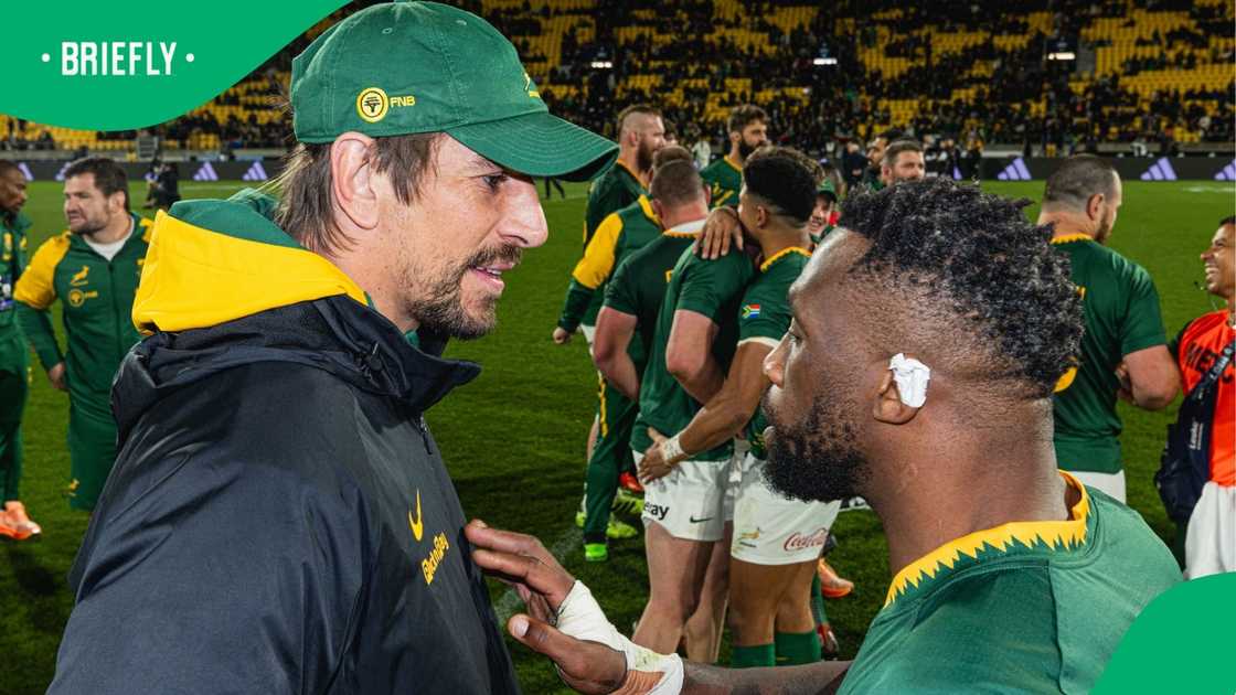 Eben Etzebeth, Siya Kolisi, Springboks, South Africa