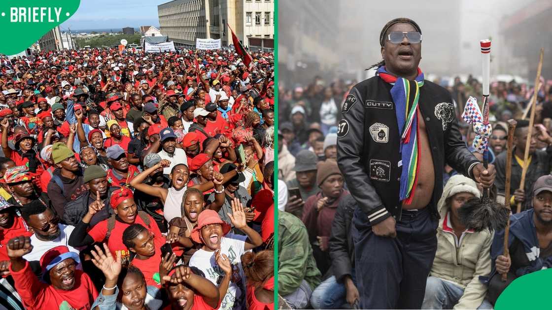 The EFF has opened a criminal case against Ngizwe Mchunu