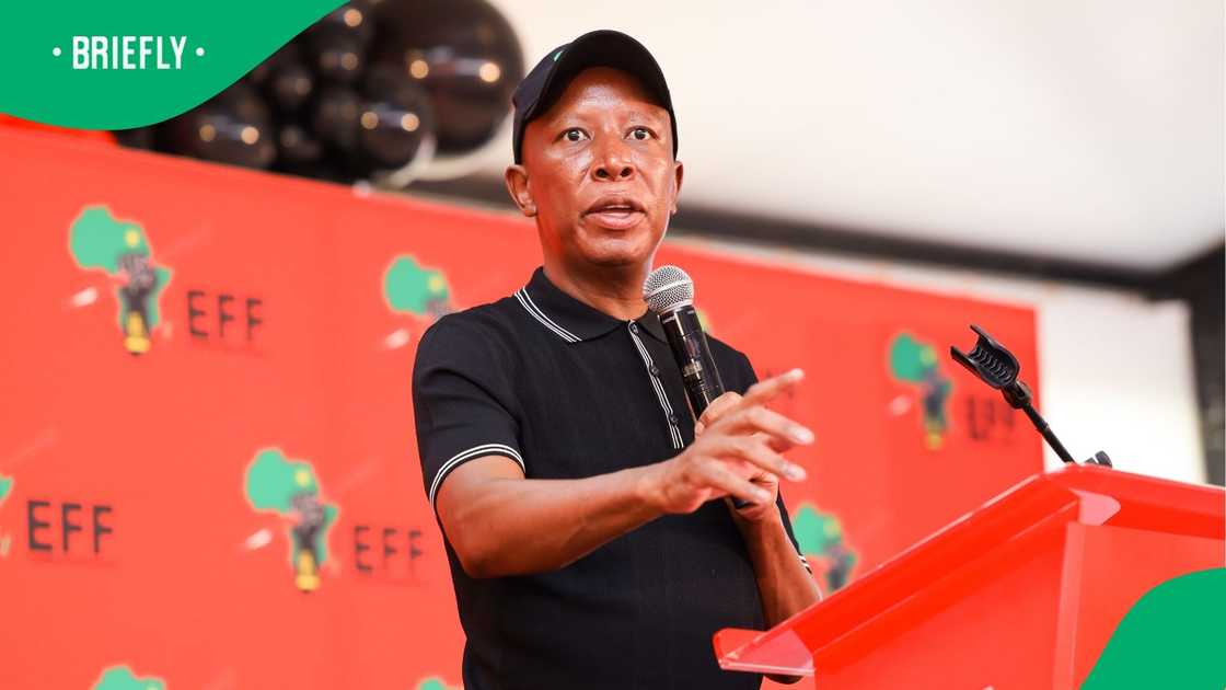 Julius Malema and the EFF won't support the Land Expropriation Act in its current form Julius Malema and the EFF won't support the Land Expropriation Act in its current form
