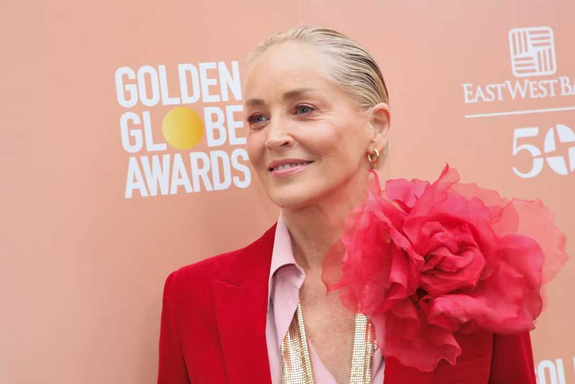 Actress Sharon Stone's net worth