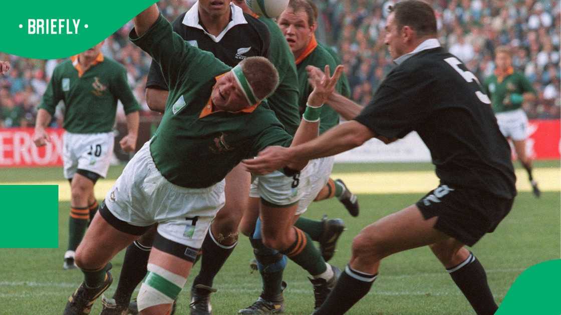 Springboks, Kobus Wiese, South Africa